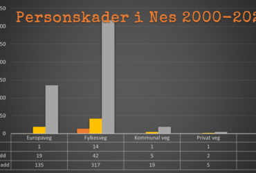 Personskader i Nes etter vegtype
